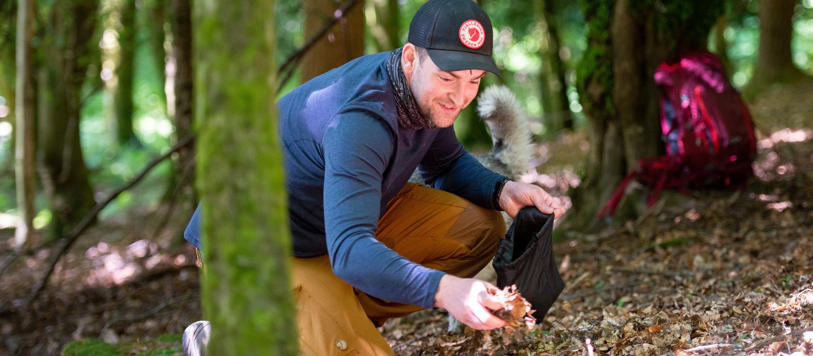 Cumberland initiative helps endangered red squirrels